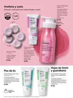 Vista previa de Natura campaña 1 2026, nuevo folleto de la tienda, válido en México a partir del 20.12.2025 | Página: 101 | Productos: Crema, Limón, Aceite, Barra