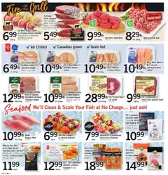 Loblaws flyer valid from 14.08.2025 | Page: 3 | Products: Fish, Beef, Grill, Chicken