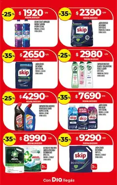 Vista previa Supermercado DIA Ofertas válido desde el 11.03.2026 | Página: 24 | Productos: Desinfectante, Jabón líquido, Detergente, Limpiador
