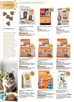 Vista previa de El Corte Inglés catálogo Mascota Noviembre , nuevo folleto de la tienda, válido en México a partir del 01.11.2025 | Página: 8 | Productos: Pollo, Fuente, Aceite, Sobre