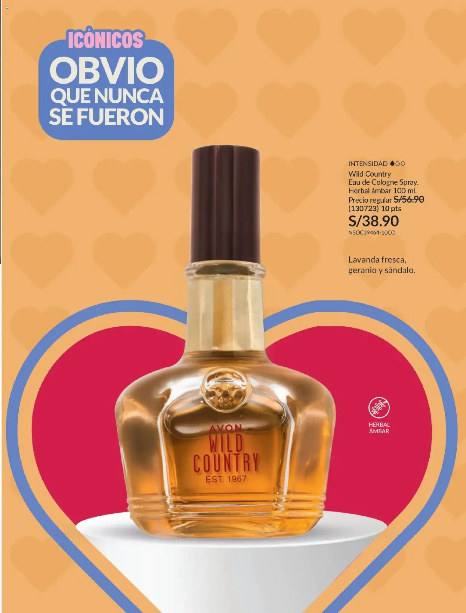 Catálogo Avon válido desde 01.02.2026 | Página: 104