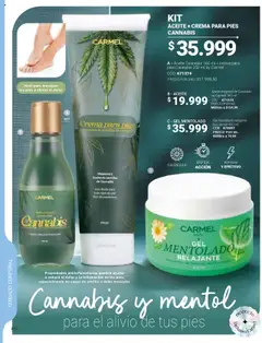 Carmel revista - valida desde el 01.09.2025 | Página: 151 | Productos: Crema, Body, Semillas, Aceite
