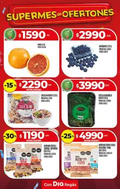 Vista previa Supermercado DIA Ofertas válido desde el 15.10.2025 | Página: 10