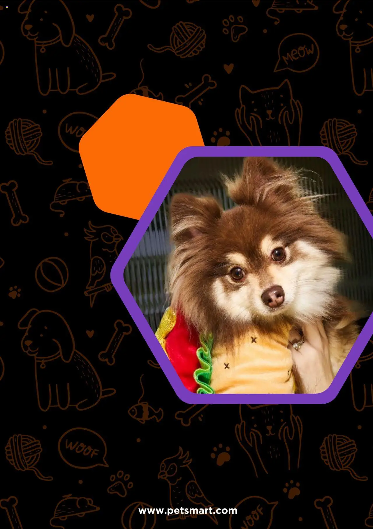 Petsmart Weekly Ad - valid from 01.10.2025 | Page: 6