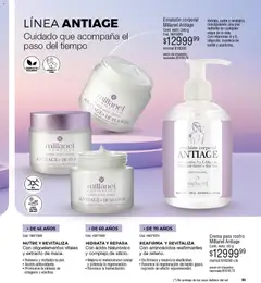 Vista previa Millanel - Catálogo válido desde el 30.03.2026 | Página: 99