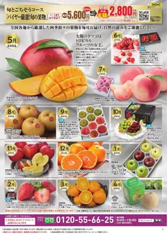 31.03.2026から有効なオファーを含む イオン - イオンショップ グルメ定期便 | ページ: 5 | 製品: りんご