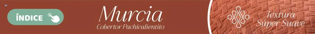 Nuevas ofertas de Colchas Concord válidas en toda la República Mexicana desde el 01.08.2025. ¡Encuentra las mejores ofertas en Colchas Concord - Catálogo! | Página: 784 | Productos: Cobertor