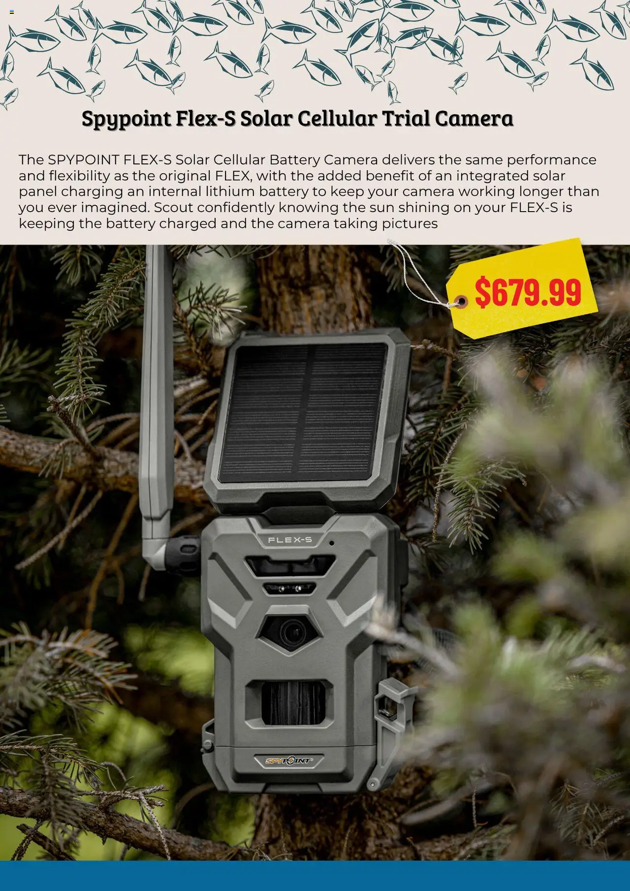 Hunting & Fishing catalogue from 11.08.2025 | Page: 4