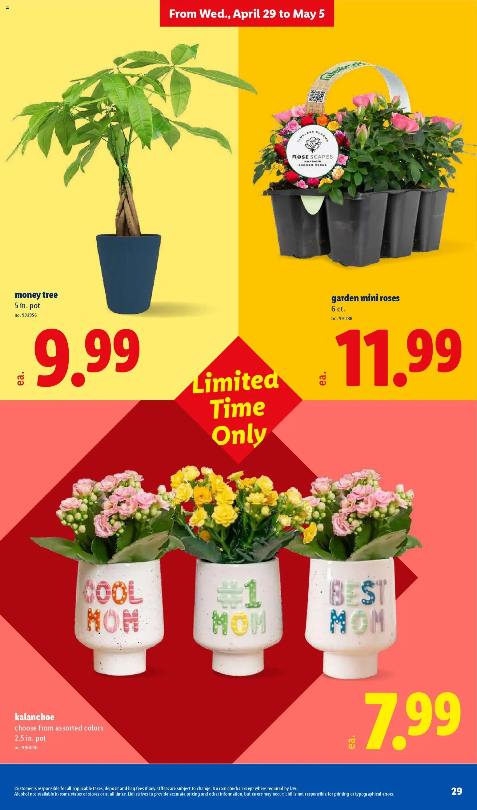 Lidl Weekly Ad - valid from 29.04.2026 | Page: 29 | Products: Bag