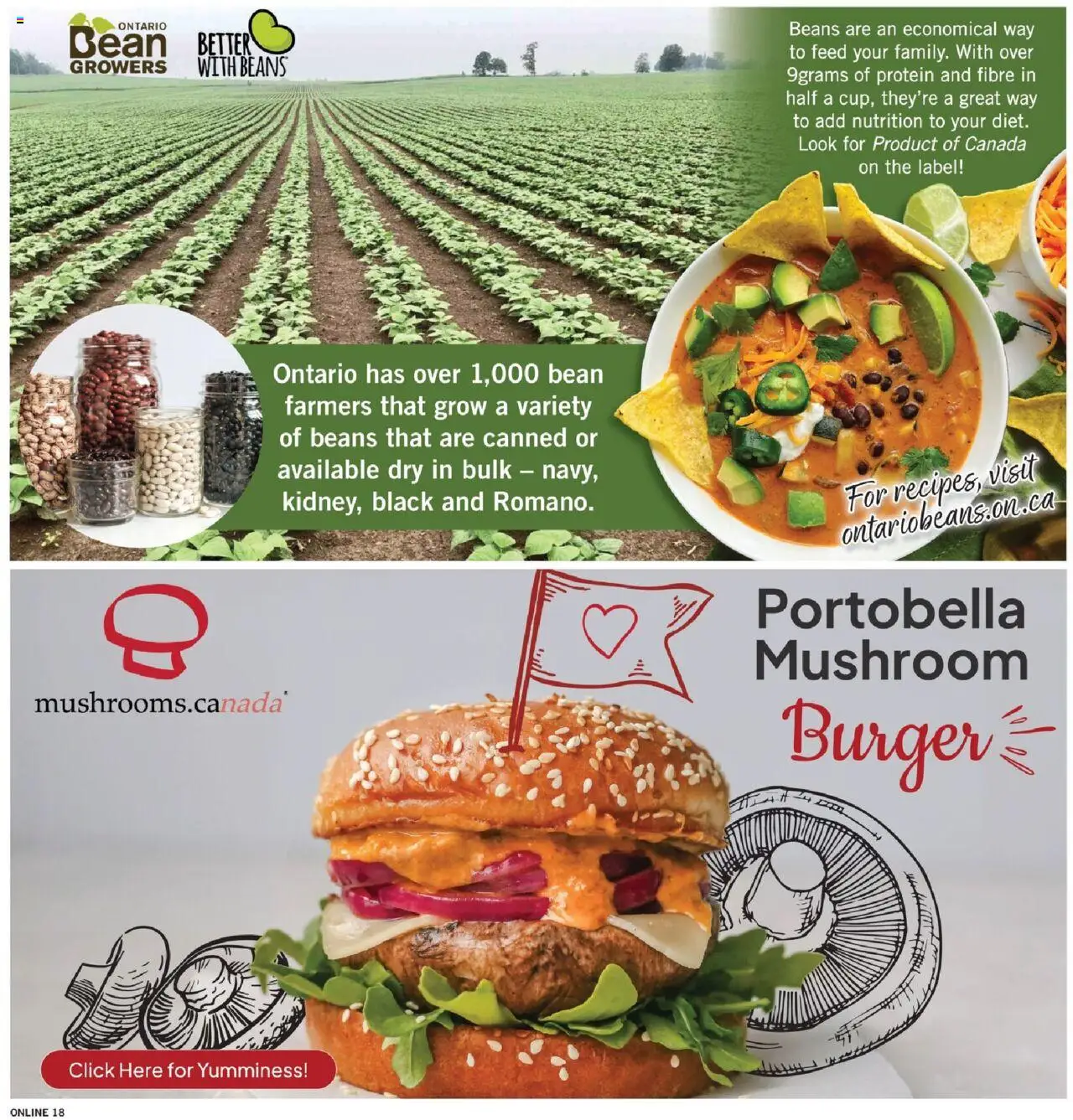 Fortinos flyer valid from 07.08.2025 | Page: 18