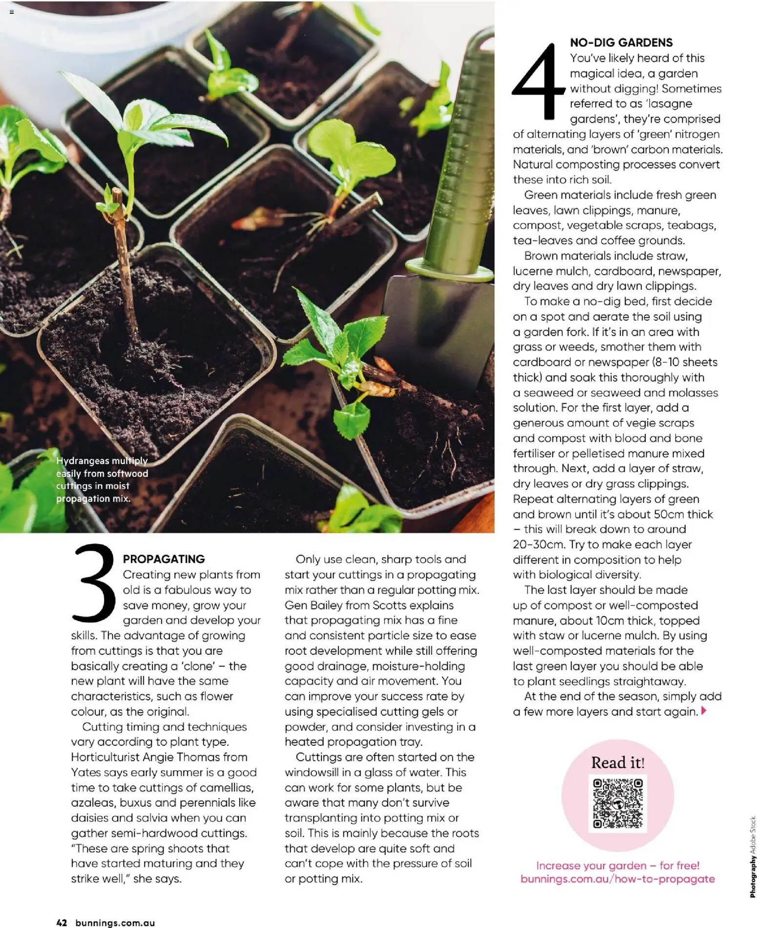 Bunnings Warehouse catalogue - valid from 01.01.2026 | Page: 42 | Products: Grass, Plant, Compost, Tools