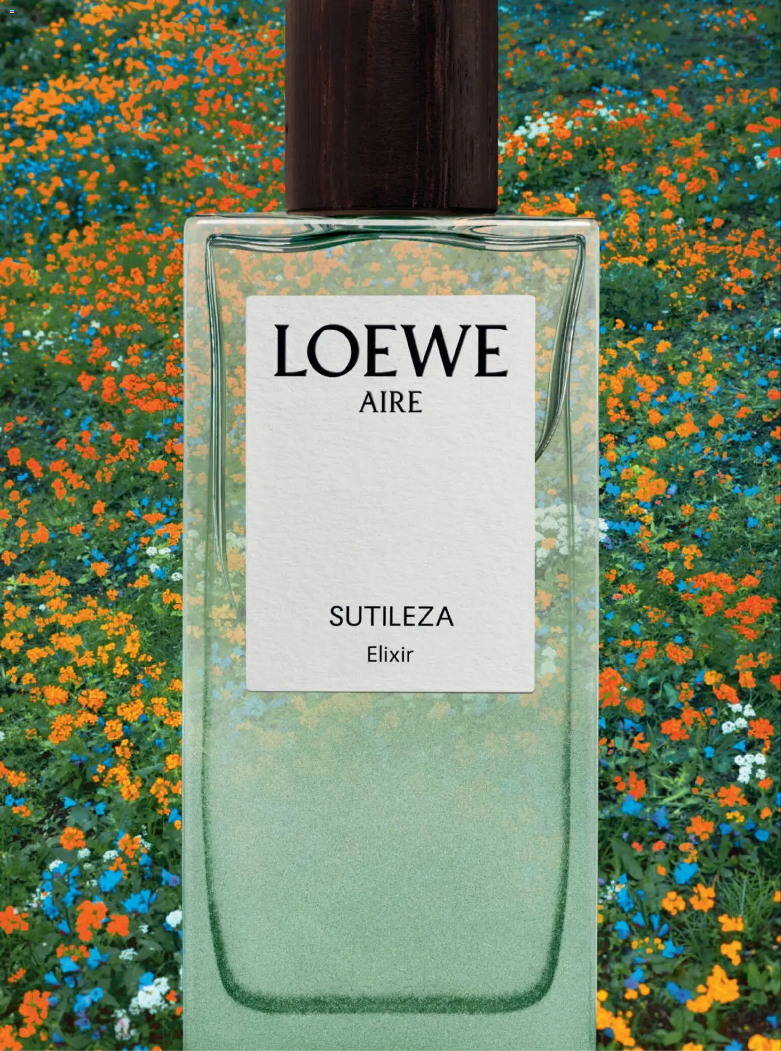 Nuevas ofertas de Palacio De Hierro válidas en toda la República Mexicana desde el 01.04.2026. ¡Encuentra las mejores ofertas en Palacio De Hierro catálogo! | Página: 6