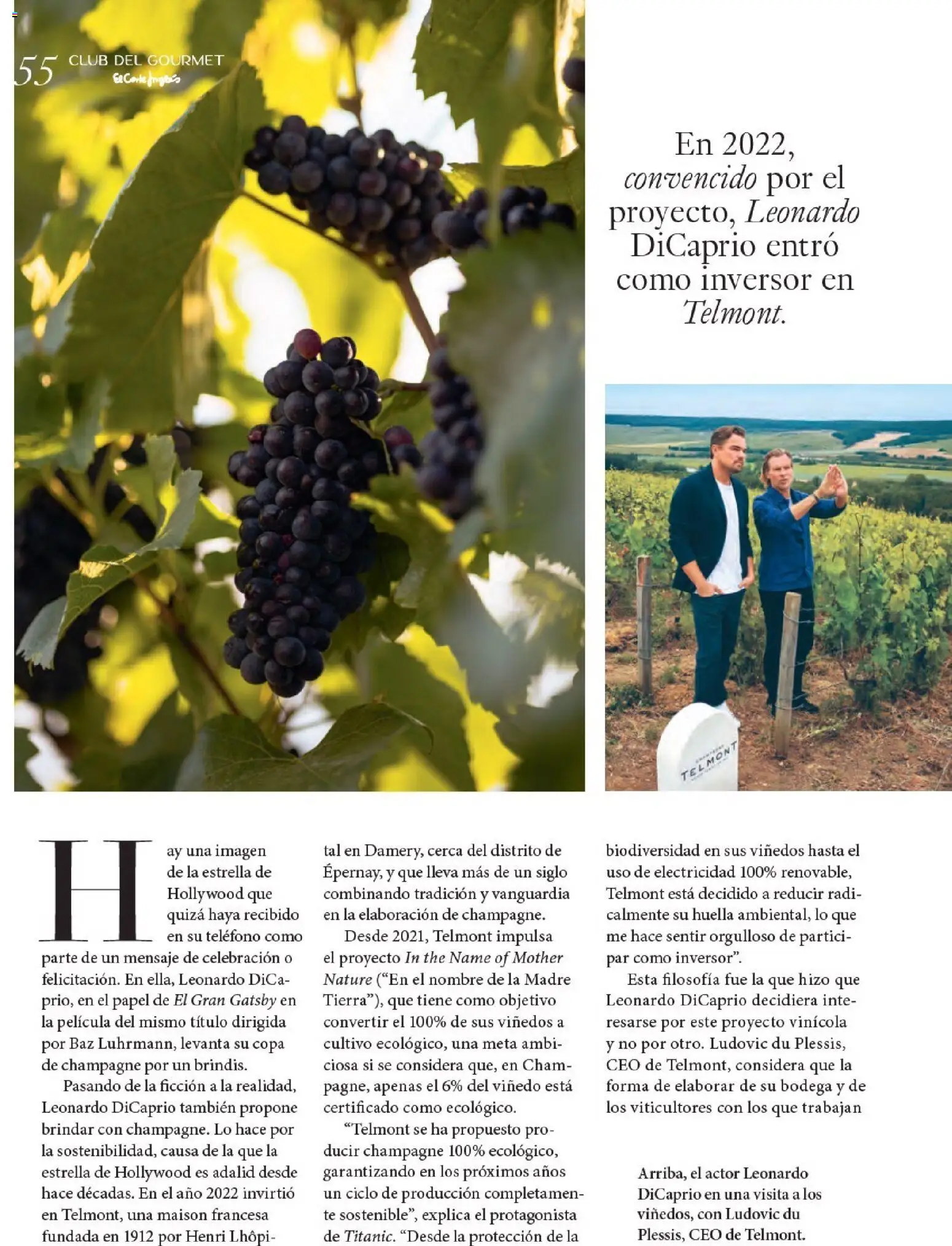 Nuevas ofertas de El Corte Inglés válidas en toda la República Mexicana desde el 11.12.2025. ¡Encuentra las mejores ofertas en El Corte Inglés catálogo Gourmet! | Página: 55 | Productos: Champagne, Té, Teléfono