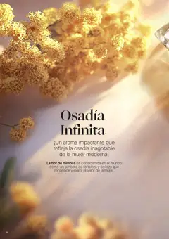 Yanbal revista - valida desde el 19.07.2025 | Página: 28