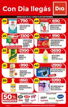 Vista previa Dia - Ofertas - Salta y Jujuy válido desde el 10.09.2025