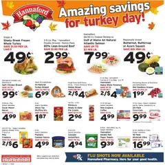 Preview of Hannaford weekly ads valid from 16.11.2025