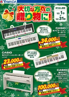 01.12.2025から有効なオファーを含む ヤマダ 電機 - CASIO 大切な方への贈り物に! | ページ: 1