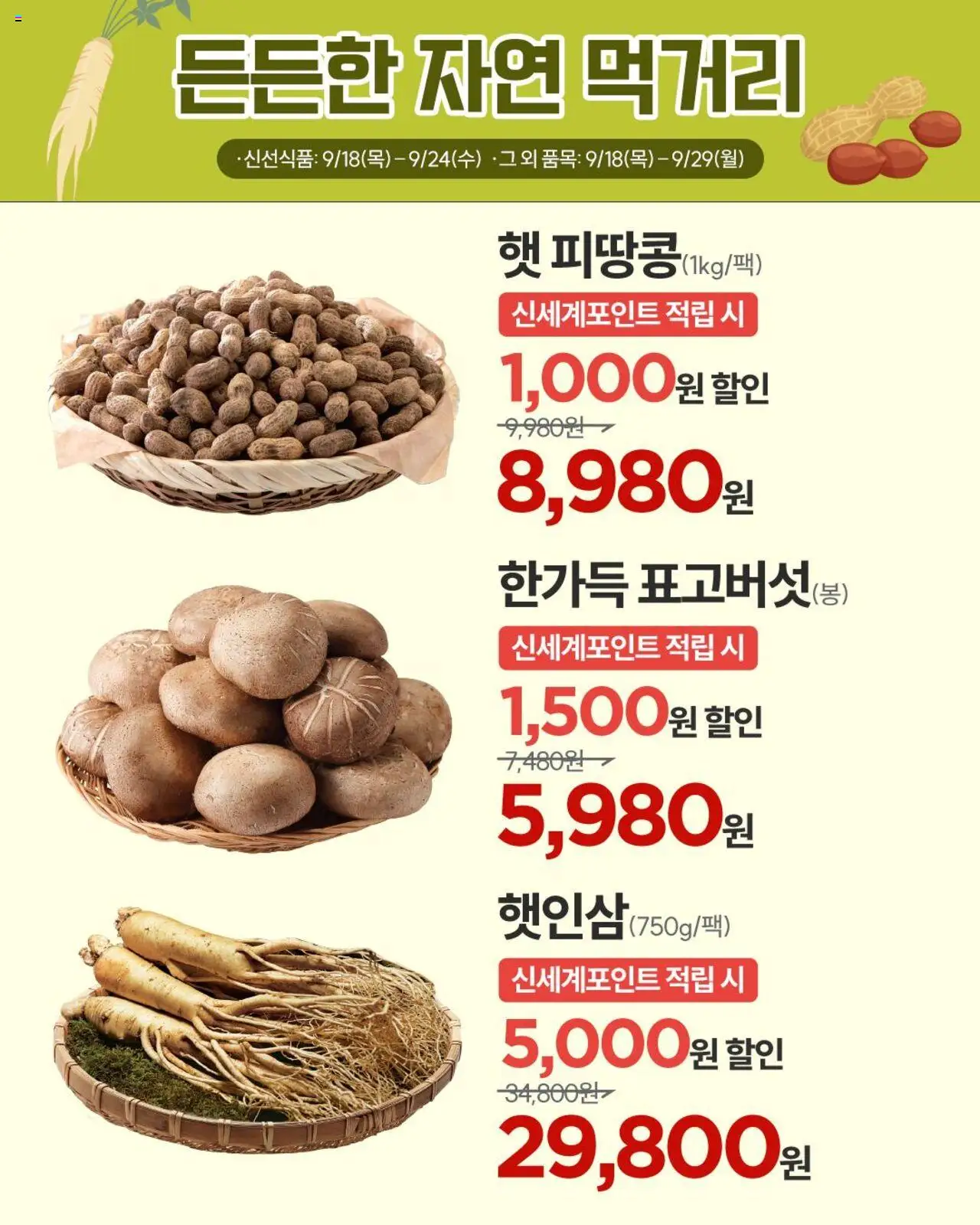  | 페이지: 4