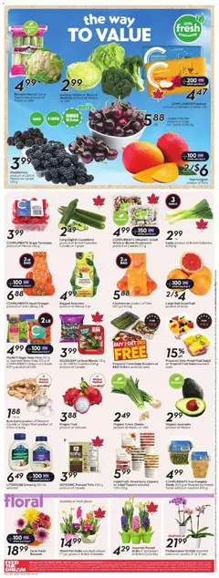 Preview of Safeway weekly flyer / circulaire from shop Safeway valid from 08.01.2026 | Page: 7