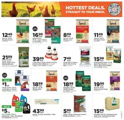 Mills Fleet Farm Weekly Ad - valid from 18.09.2025 | Page: 4