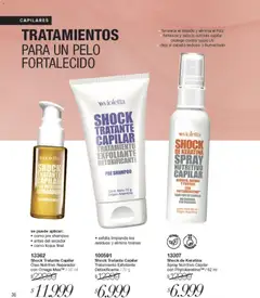 Vista previa Violetta catálogo válido desde el 01.05.2026 | Página: 36 | Productos: Shampoo