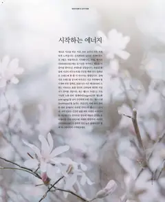  | 페이지: 2 | 상품: 치약, 안경, 카메라