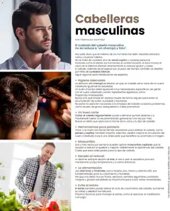 Vista previa de H-E-B folleto Celebra, nuevo folleto de la tienda, válido en México a partir del 01.03.2026 | Página: 60 | Productos: Vitaminas, Cloro, Té, Champú