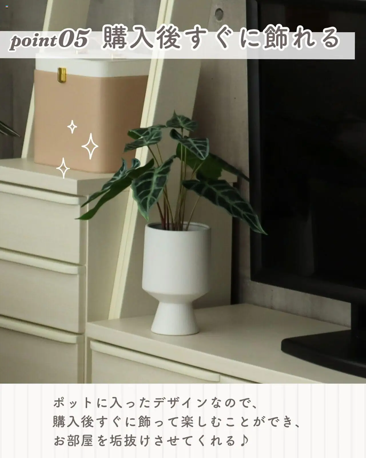  | ページ: 7