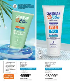Vista previa Millanel catálogo válido desde el 15.09.2025 | Página: 66 | Productos: Protector solar, Agua, Uva, Té