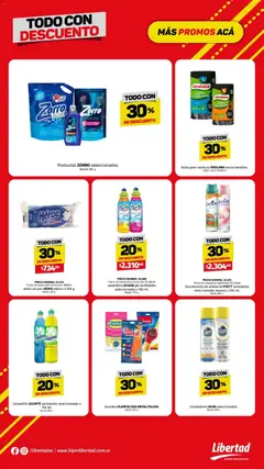 Vista previa Hipermercado Libertad - Todo con sem 01 válido desde el 30.12.2025 | Página: 13