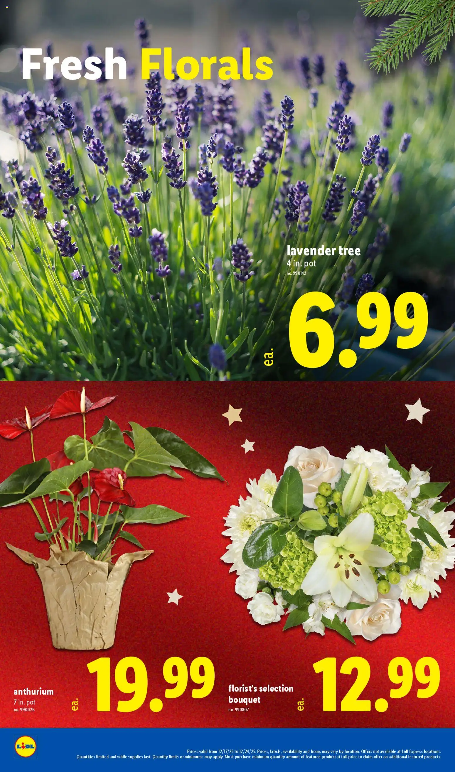 Lidl Weekly Ad - valid from 17.12.2025 | Page: 28