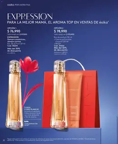 Ésika - Esika.colombia.c06.2026 -  Vista previa de la revista de la tienda Ésika valido desde el 02.03.2026 | Página: 22