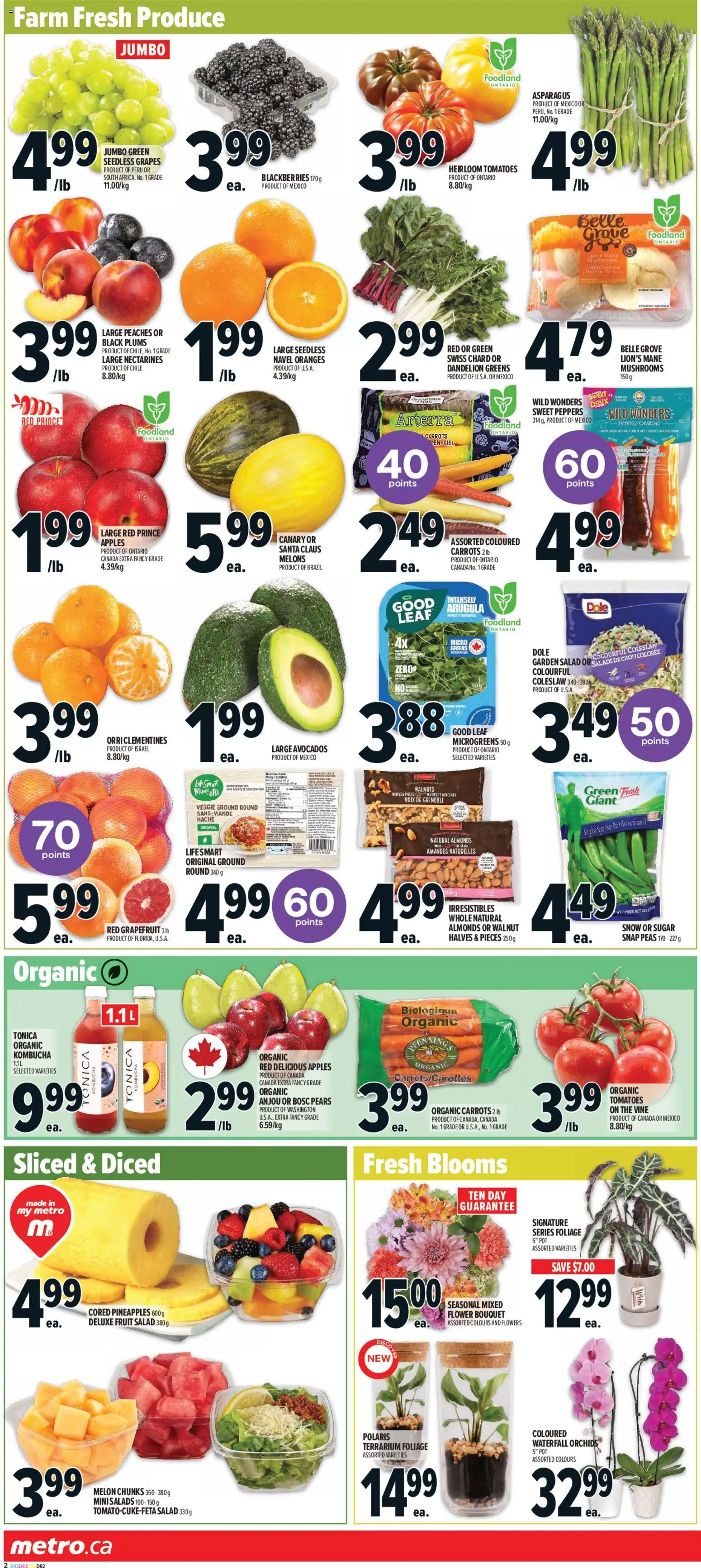 Metro flyer valid from 26.02.2026 | Page: 6 | Products: Salad, Apples, Oranges, Tomatoes