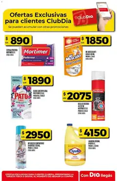 Vista previa Supermercado DIA Ofertas válido desde el 11.03.2026 | Página: 53