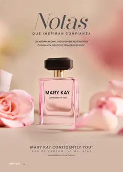 Vista previa de Mary Kay catálogo, nuevo folleto de la tienda, válido en México a partir del 01.01.2026 | Página: 66