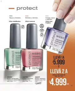 Vista previa Violetta - Violetta Cosméticos válido desde el 30.03.2026 | Página: 147