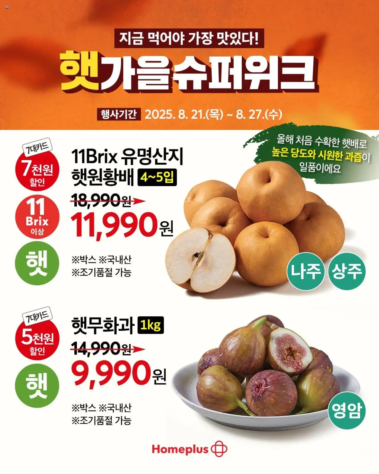  | 페이지: 3