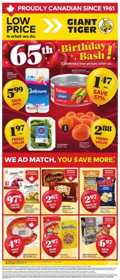 Preview of Giant Tiger Weekly Flyer from shop Giant Tiger valid from 22.04.2026