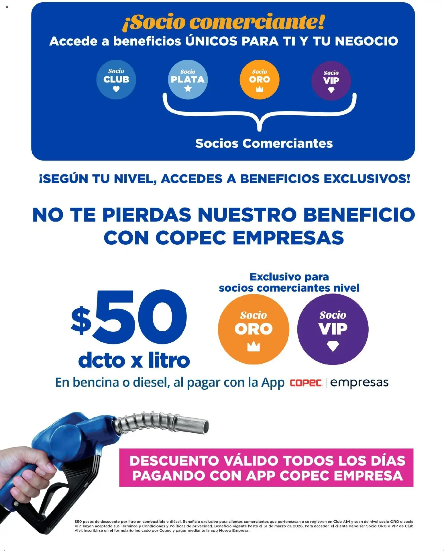 Alvi catálogo │ válido desde el 14.01.2026 | Página: 12 | Productos: Té