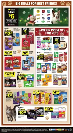 Preview of Dollar General weekly ads valid from 14.12.2025 | Page: 17
