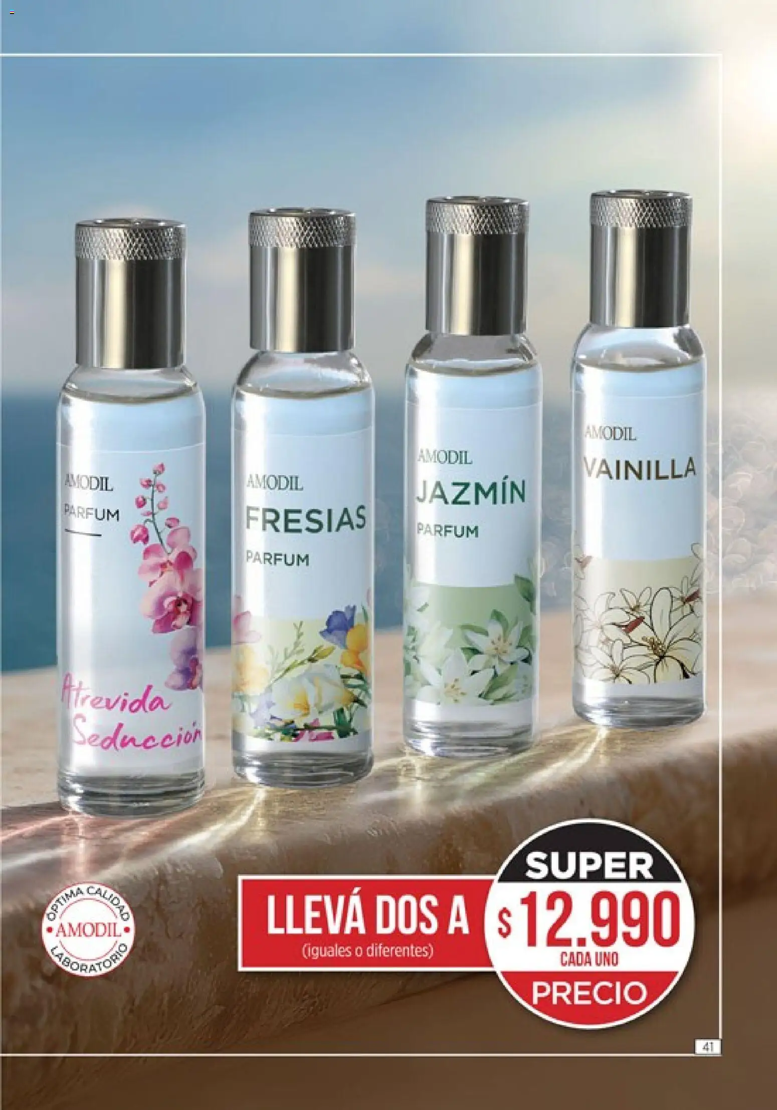 Catálogo Amodil Campaña 1/2026 │ válido desde el 01.01.2026 | Página: 41