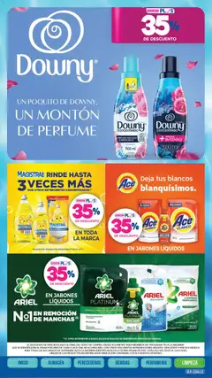 Vista previa La Anonima - catalogos válido desde el 02.01.2026 | Página: 41 | Productos: Antigrasa, Perfume