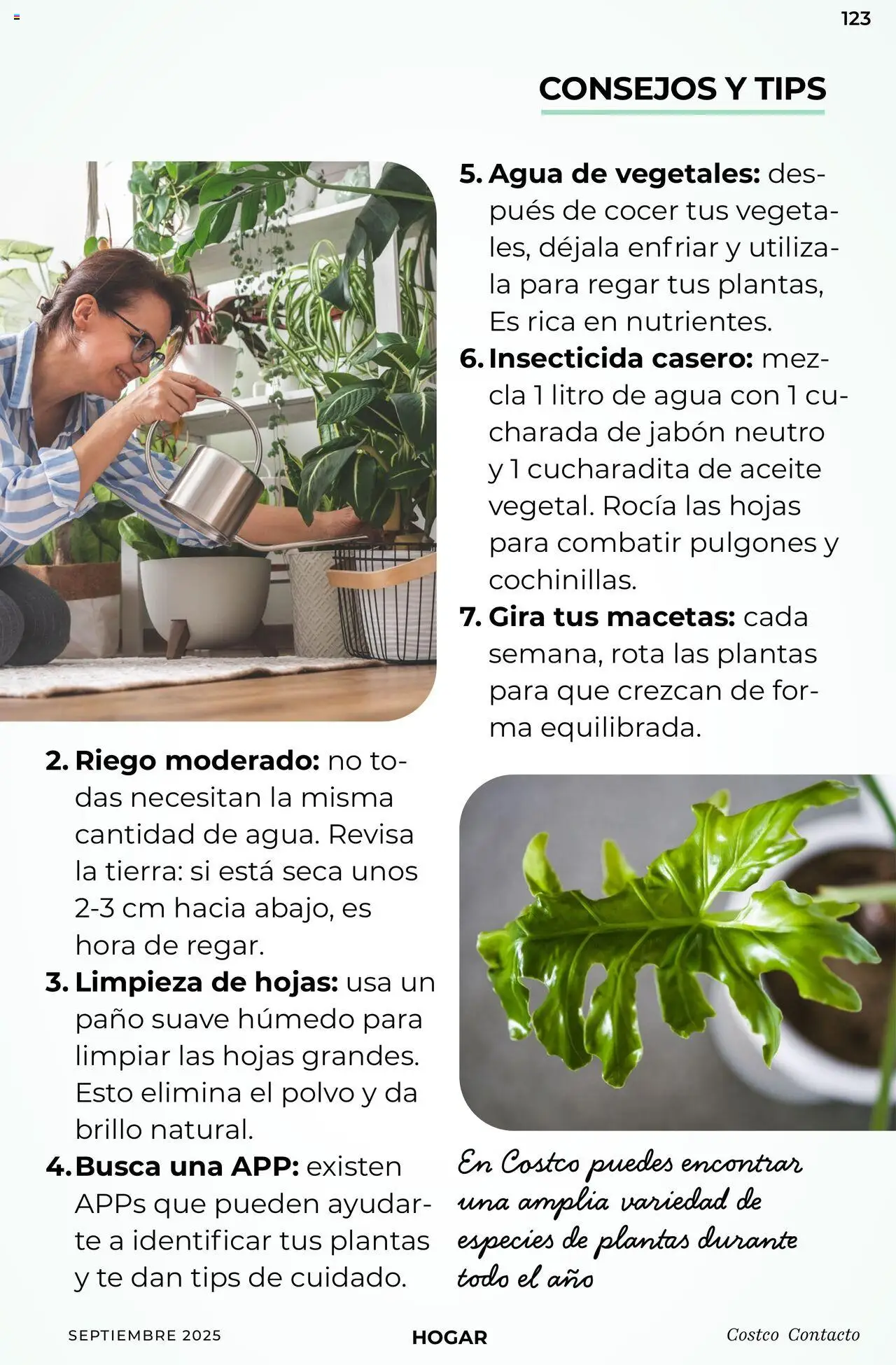 Nuevas ofertas de Costco válidas en toda la República Mexicana desde el 10.09.2025. ¡Encuentra las mejores ofertas en Costco - Catálogo Septiembre! | Página: 123 | Productos: Agua, Insecticida, Té, Jabón
