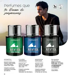 Vista previa Millanel - Catálogo válido desde el 02.03.2026 | Página: 50 | Productos: Pimienta, Nuez, Té