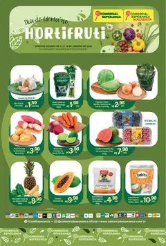 Comercial Esperança - Ofertas Hortifruti - Pré-Visualização do folheto da loja Comercial Esperança, válido de 13.01.2026