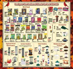 Preview of Ocean State Job Lot weekly ads valid from 16.10.2025 | Page: 17