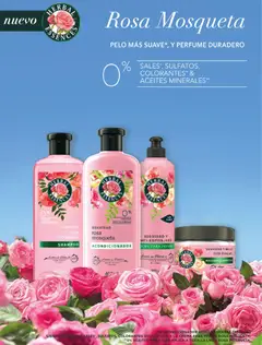 Vista previa Jumbo - Especial Perfumería y Limpieza válido desde el 11.11.2025 | Página: 2 | Productos: Mascarilla, Perfume, Shampoo, Brillo