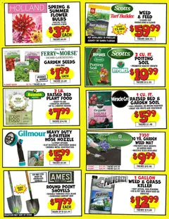 Preview of Ollie's weekly ads valid from 02.04.2026 | Page: 3