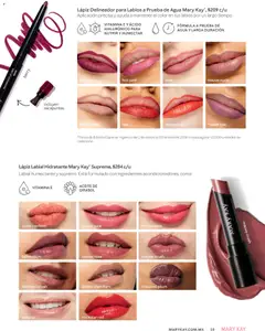 Vista previa de Lápiz Delineador para Labios a Prueba de Agua Mary Kay, Aplicación precisa y ayuda a mantener el color en tus labios por un largo tiempo., nuevo folleto de la tienda, válido en México a partir del 01.03.2026 | Página: 15