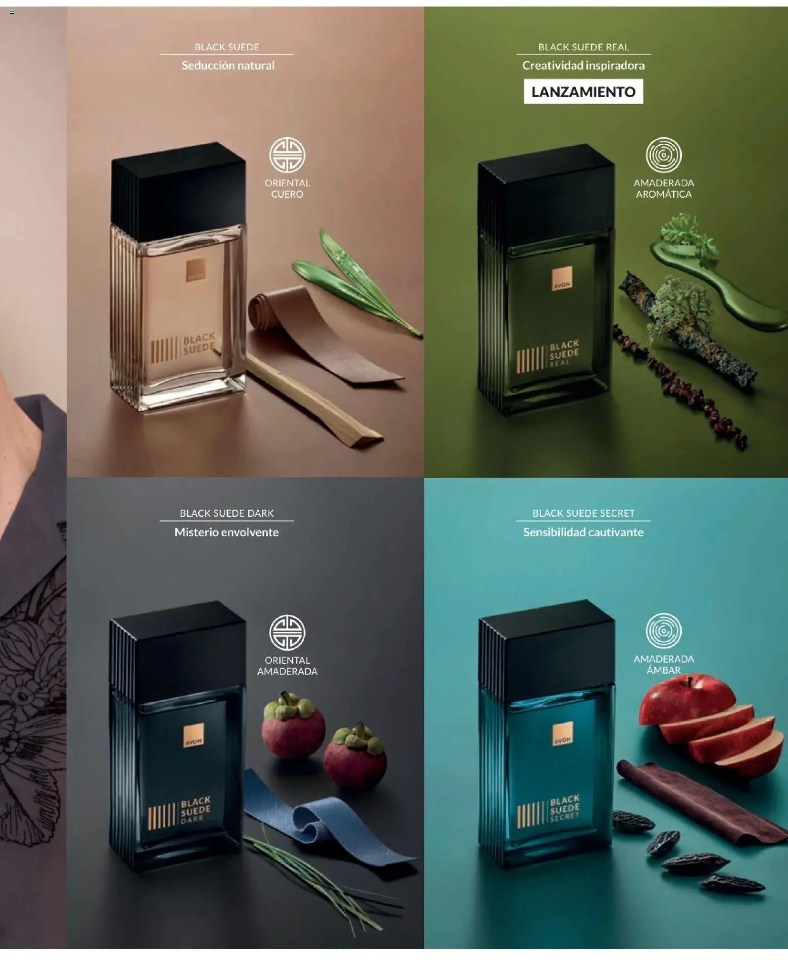 Catálogo Avon válido desde 01.12.2025 | Página: 6